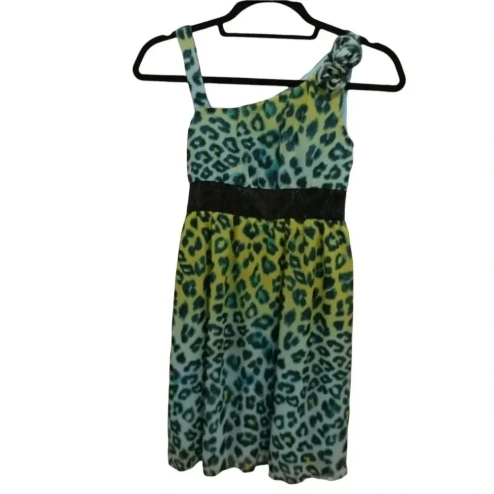 🎉HP🎉 Holiday Editions Girls Leopard / Cheetah Dress